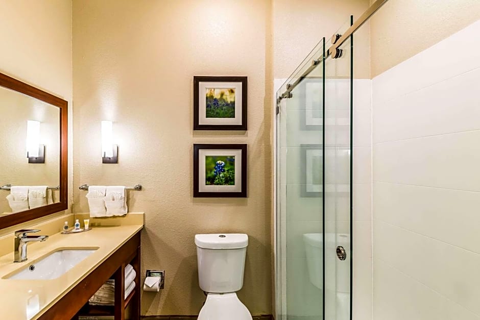 Comfort Suites Grand Prairie - Arlington North