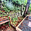 3 Pax Charming Foggy Cold Breeze, Cozy Gardenville Hotel