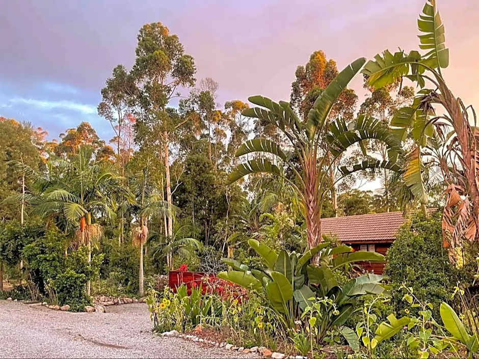 Adventurer's Escape HQ