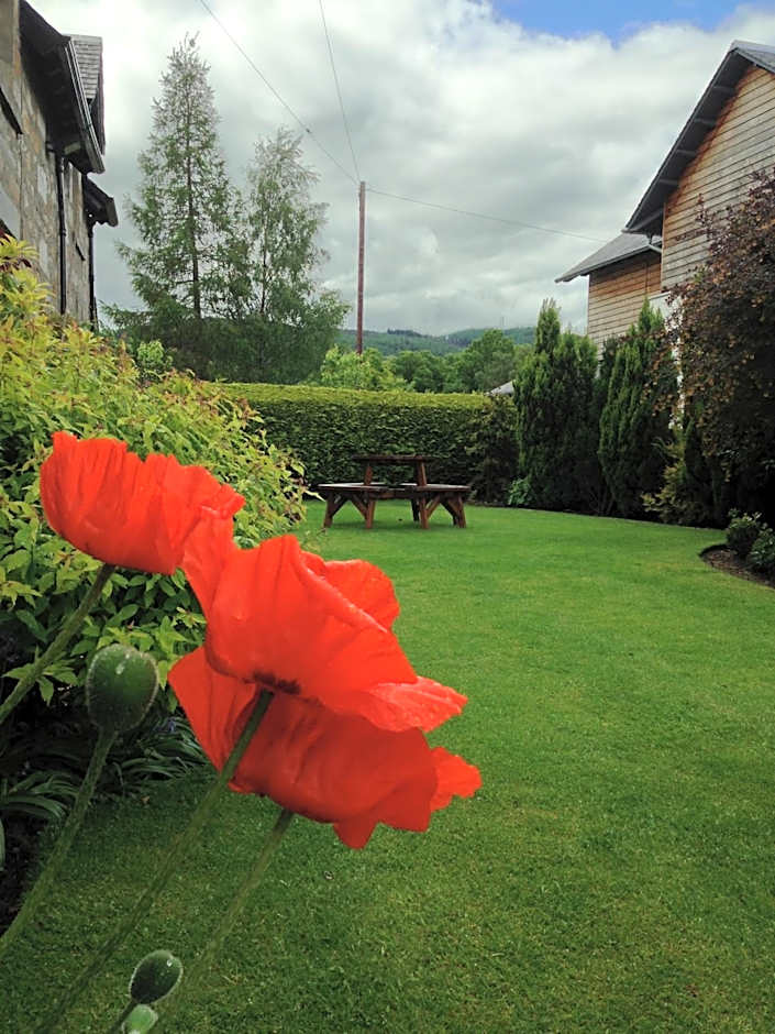 Buttonboss Lodge B&B