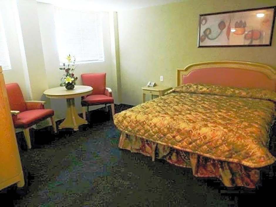 Hotel San Francisco Irapuato Business Class