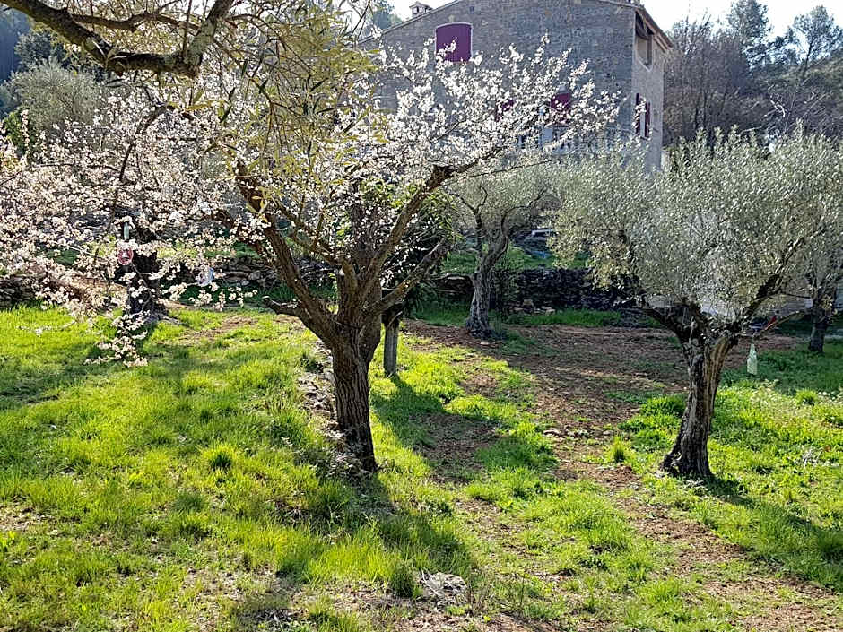 Gîtes Mas des rochers - Case bambou avec Spa