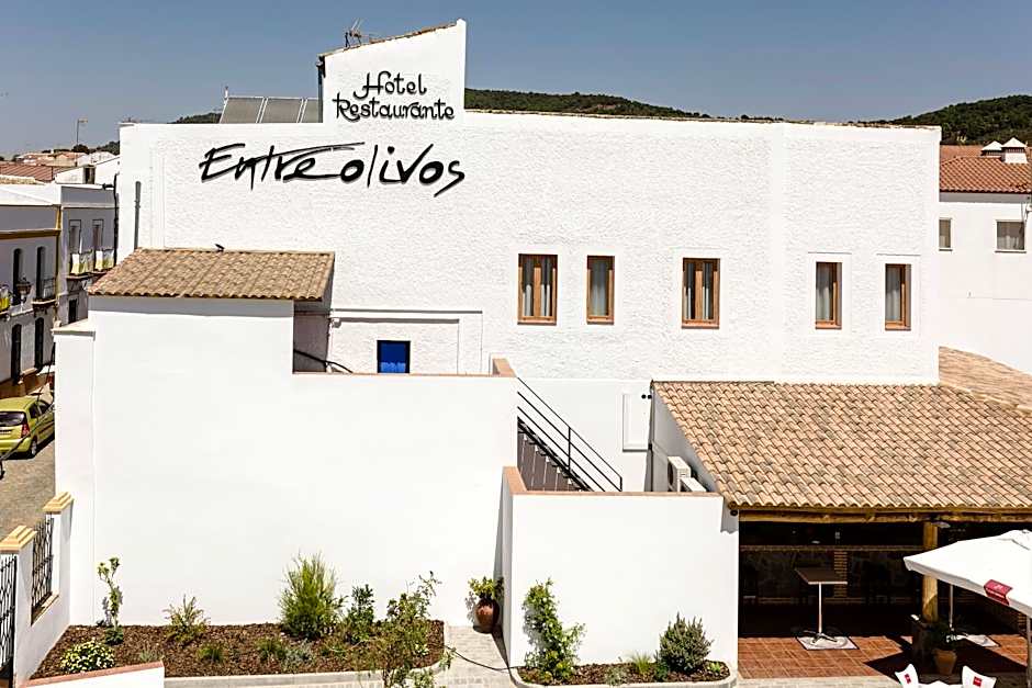 Hotel Entreolivos