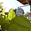 Elite Hotel City Center Saray Bed and Breakfast