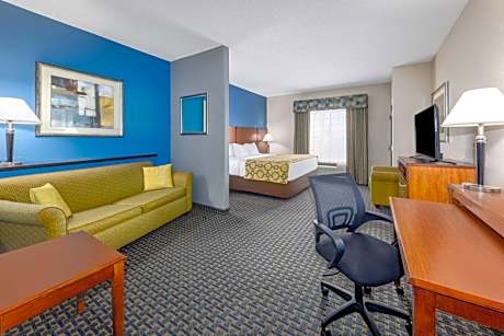 1 King Bed, Mobility Accessible Suite, Roll-In Shower, Non-Smoking