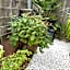 season guest house in nishi shinjuku 100 square meters, 4 bedrooms, 2 living rooms