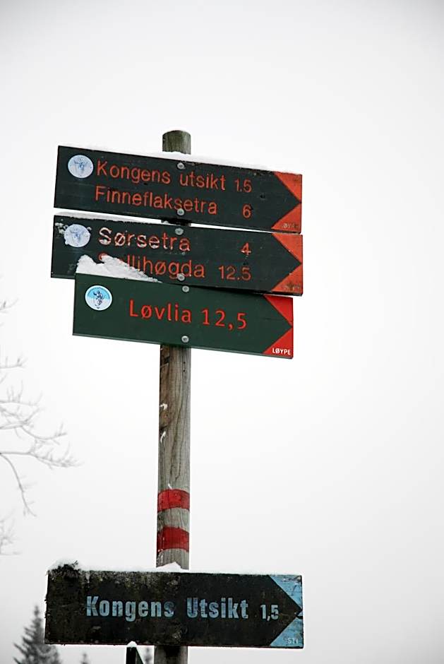 Kleivstua Hotel near Krokskogen