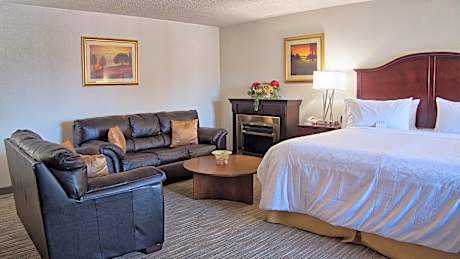 1 KNG SPACIOUS STE W JACUZZI NONSMOKING
