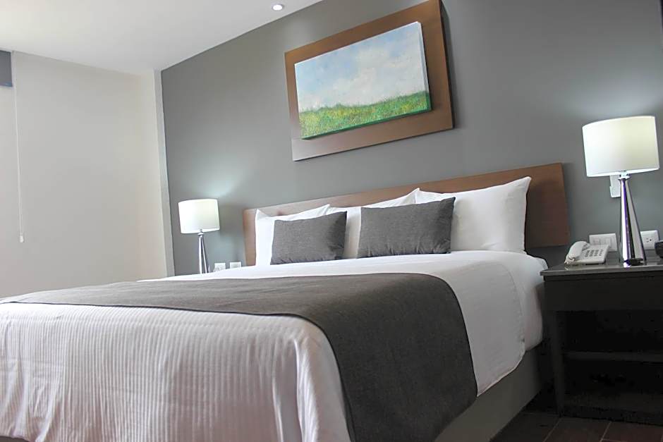 Eco Hotel Guadalajara Expo
