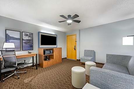 Deluxe King Suite - Non-Smoking