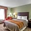 Comfort Inn Franklin Highway 96