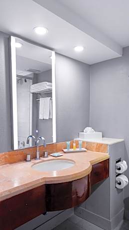 Junior Queen Suite with Lounge