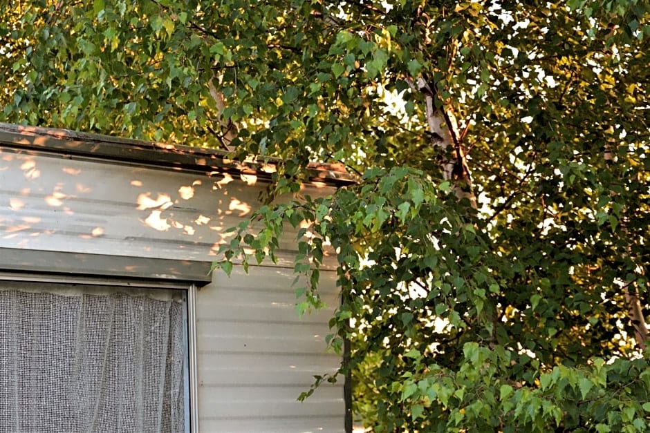 Domki holenderskie ,, Lataj¿cy Holender"