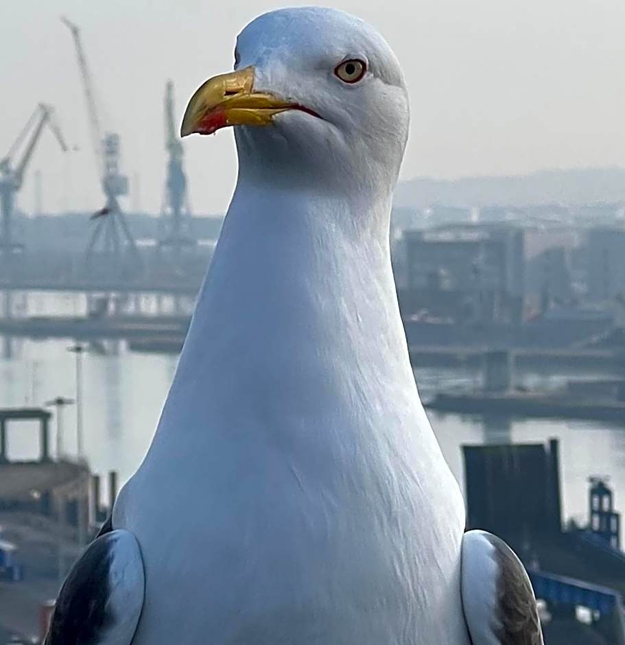 James Clow Bed & Breakfast