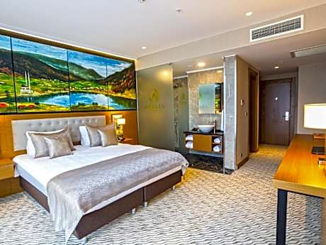 Deluxe King Room with City View