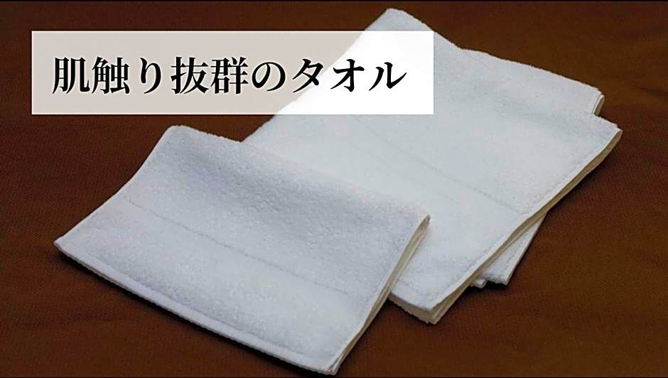 Extol Inn Kumamoto Suizenji