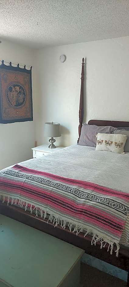 Ocean Front Vortex Female Hostel private rooms Free bikes