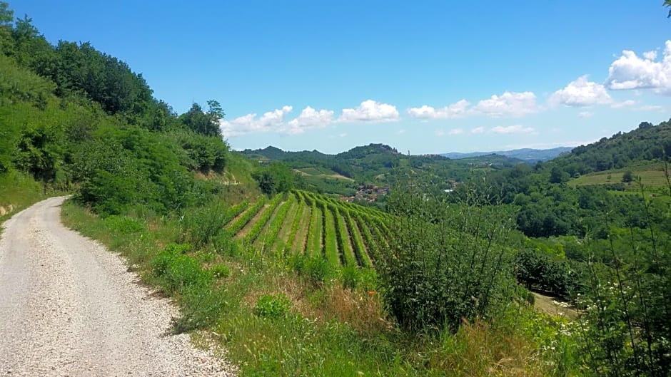 La Collina dei Passeri – Pocapaglia, NY