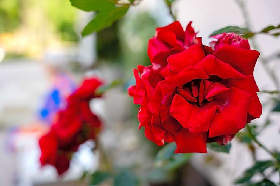 Schlosshotel Wilhelmsthal