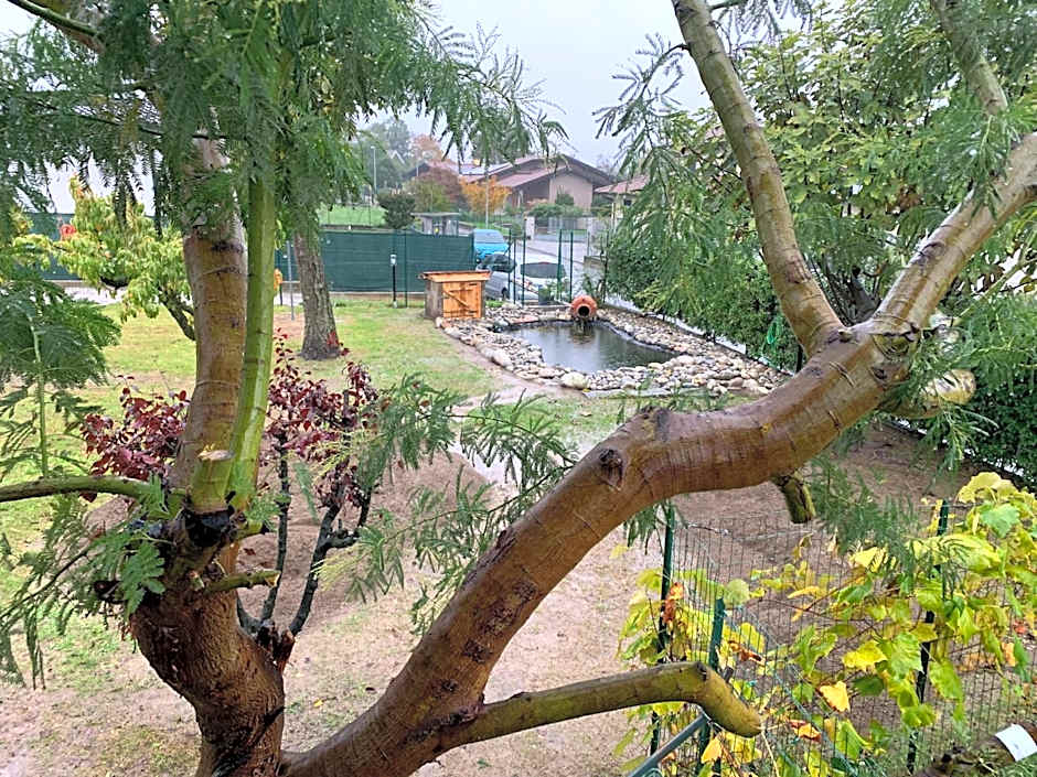 Bed & Breakfast Indi Thelar