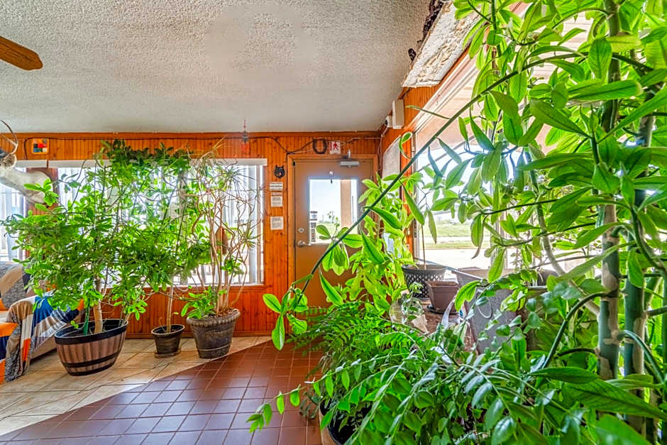 Lone Star Inn by OYO Vernon Texas Hwy 287