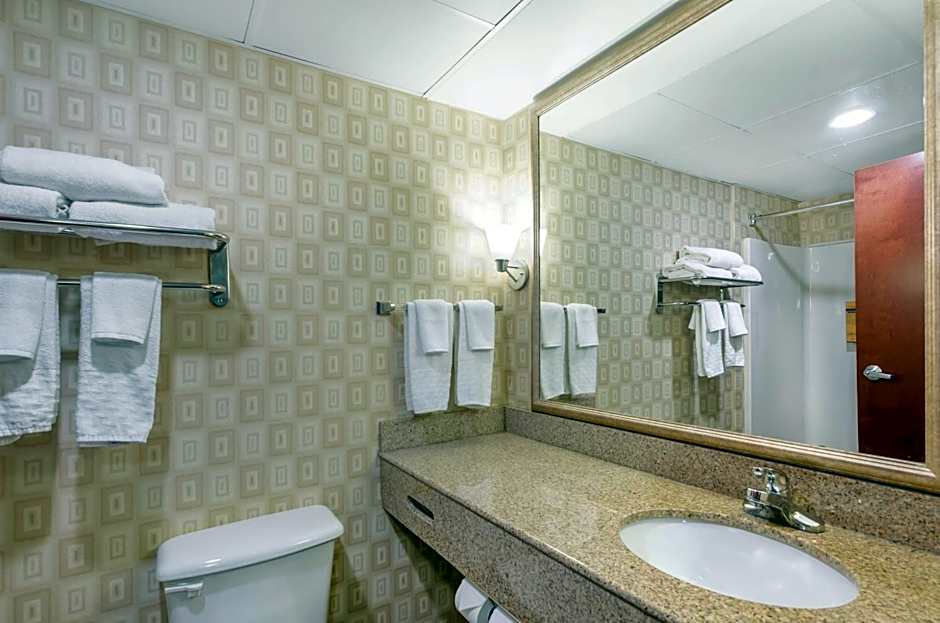 Best Western Plus Waynesboro Inn & Suites Conference Center
