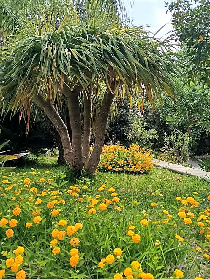 Masseria Lama