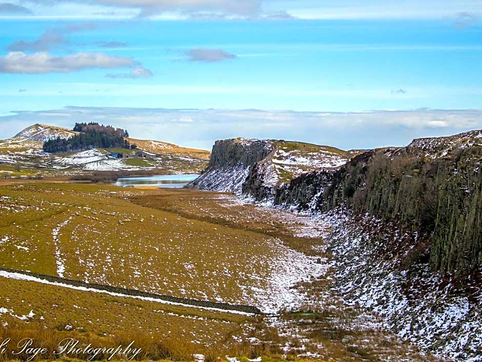 Shaftoe's Bed and Breakfast