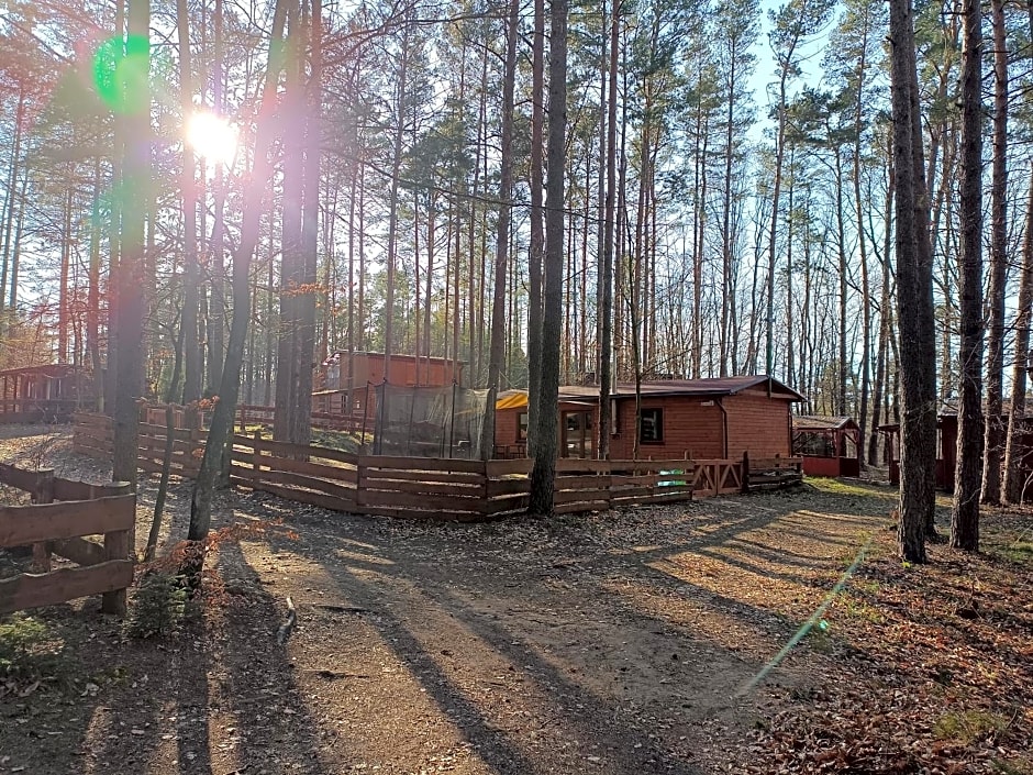 Domek nad jeziorem 7