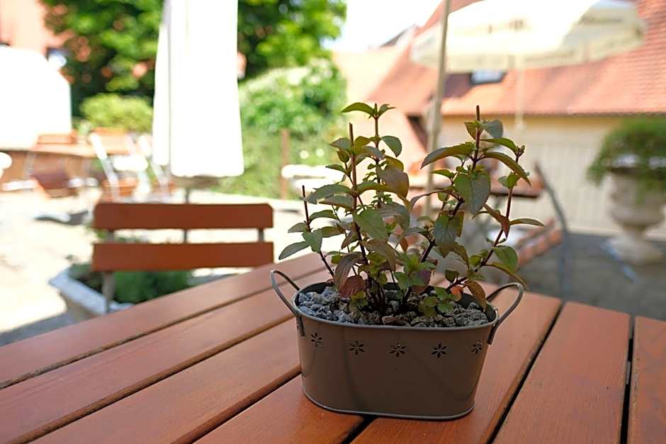 Romantica Hotel Blauer Hecht