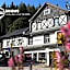 Hotel Lomnice