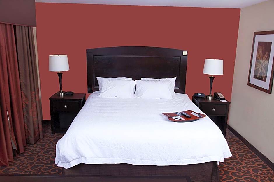 Photo 1 of 5 of Studio 1 King Bed Suite