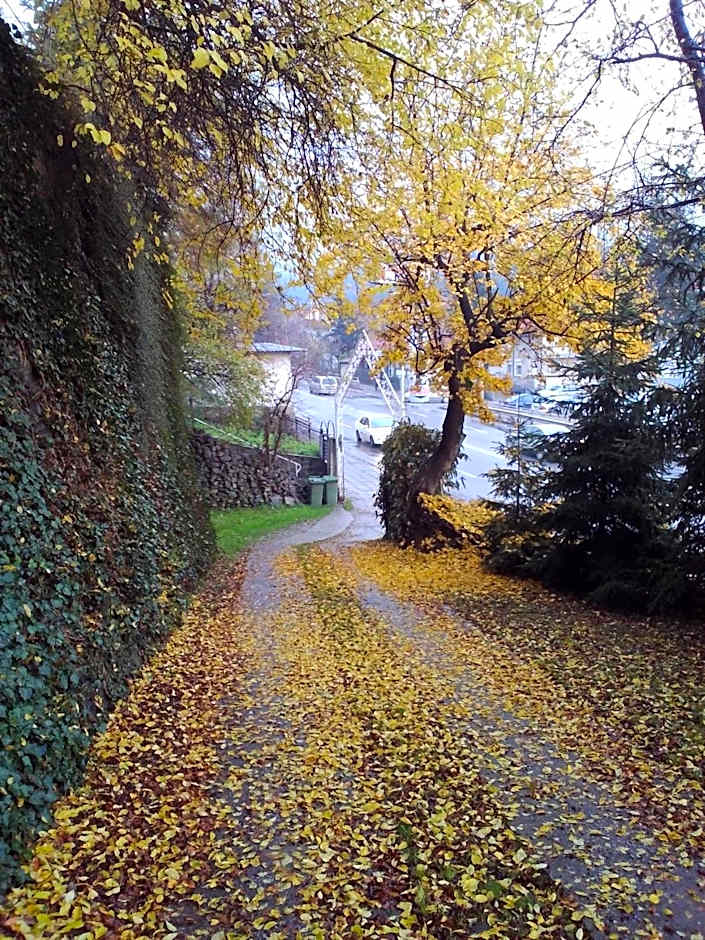 Park Hotel Amfora -Free Parking