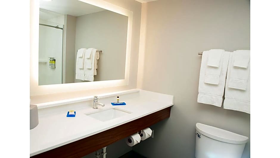 Holiday Inn Express Hotel & Suites Norfolk By IHG