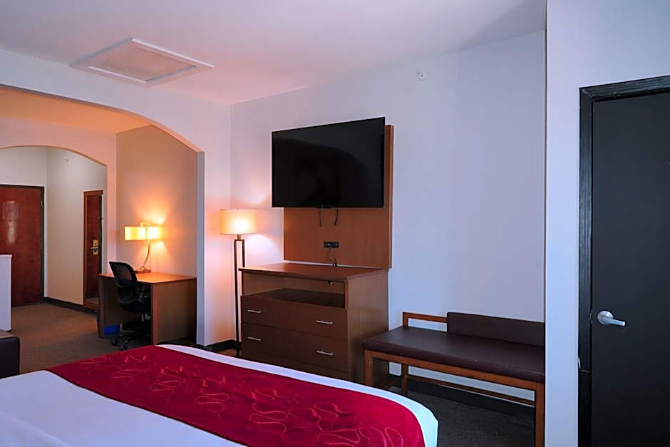 Comfort Suites Bush Intercontinental Airport