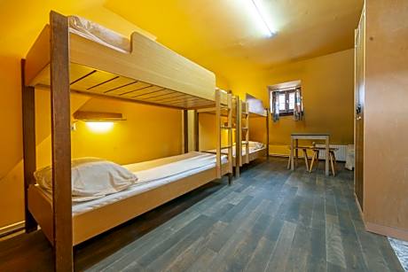 Bed in 4-Bed Dormitory Room with Shared Bathroom