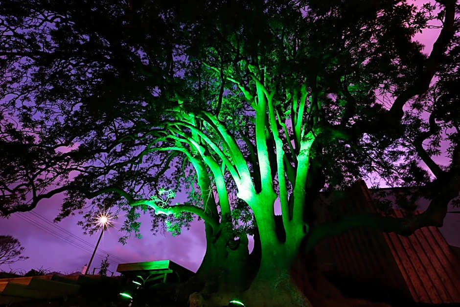 Novotel New Plymouth Taranaki