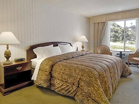 Business Place Room – 1 King Bed