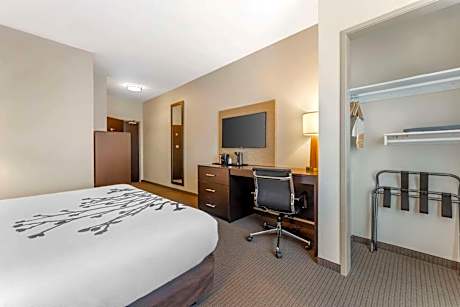 1 King Bed, Nonsmoking, Accessible