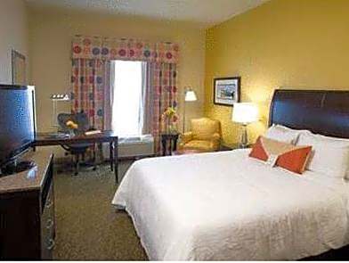 Suite King Bed
