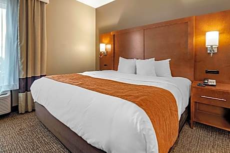 1 King Bed  Suite  No Smoking  Accessible Room