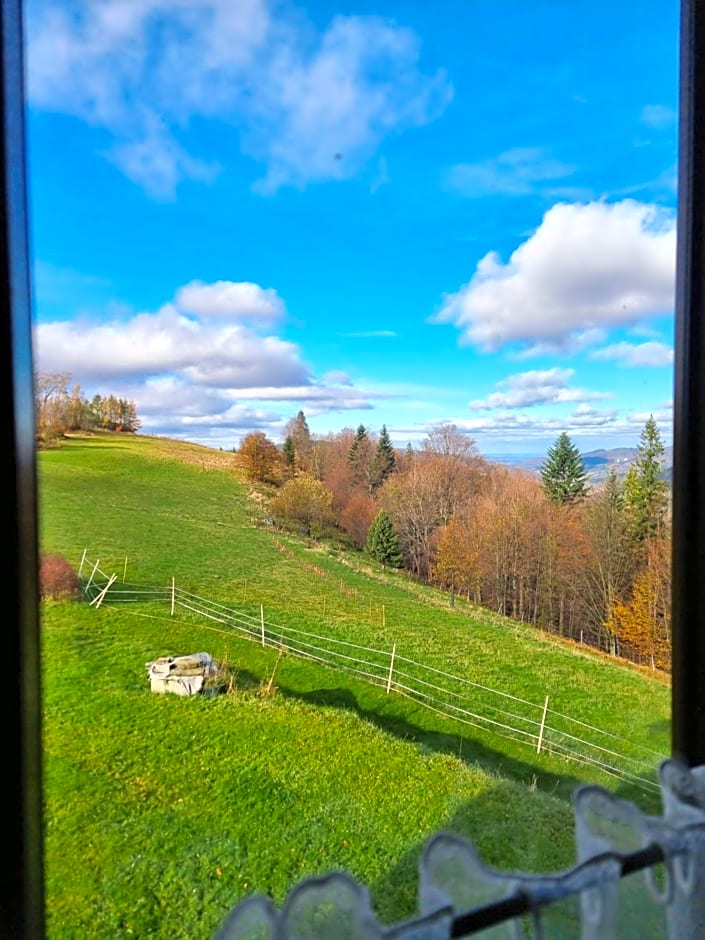 Swoboda na szczycie góry