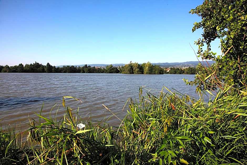 Les Étoiles Du Forez