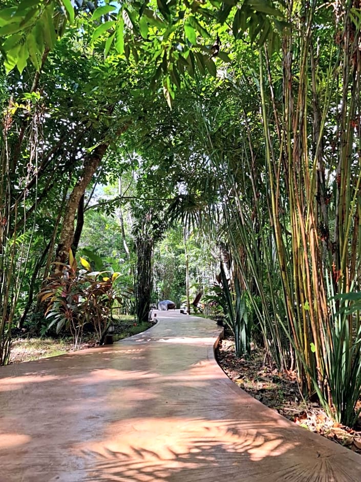 Secret Gardens Bacalar Suite 02 con alberca y bicicletas