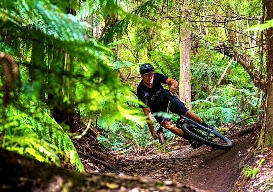 BIG4 Tassie Getaway Parks St Helens