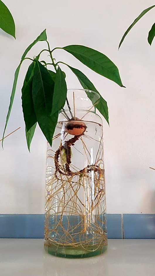 Sportpension Heartstay