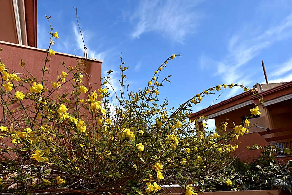 Residenza Le Due Palme