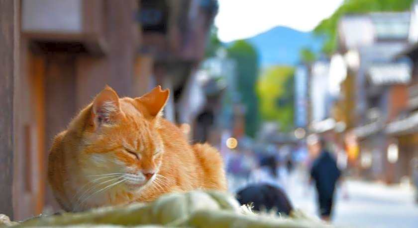 Toyoko Inn Tsu-Eki Nishi-Guchi