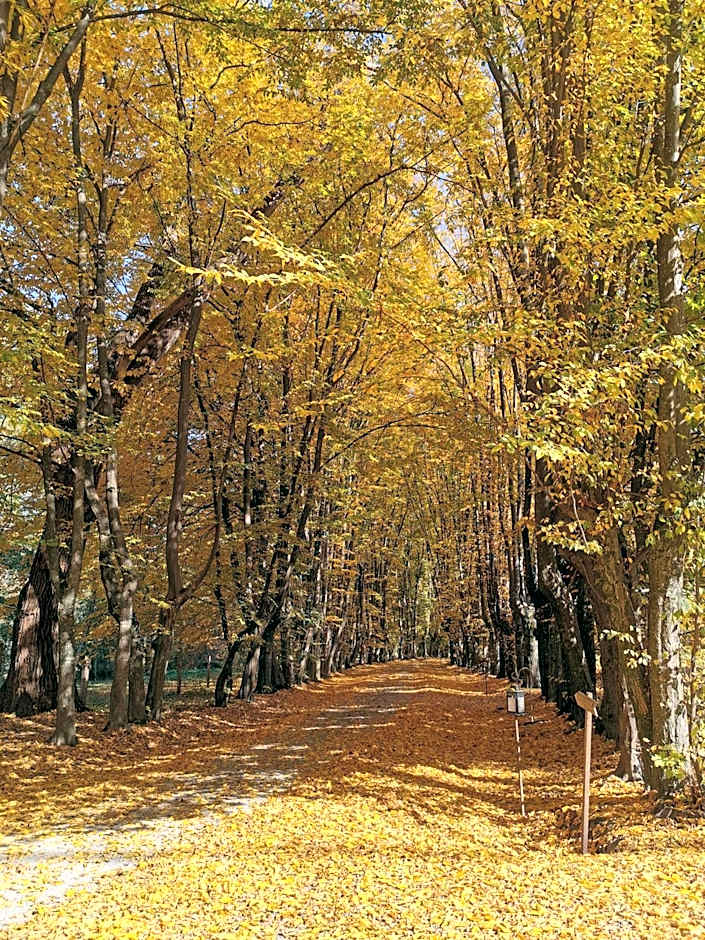 Zabola Estate - Transylvania