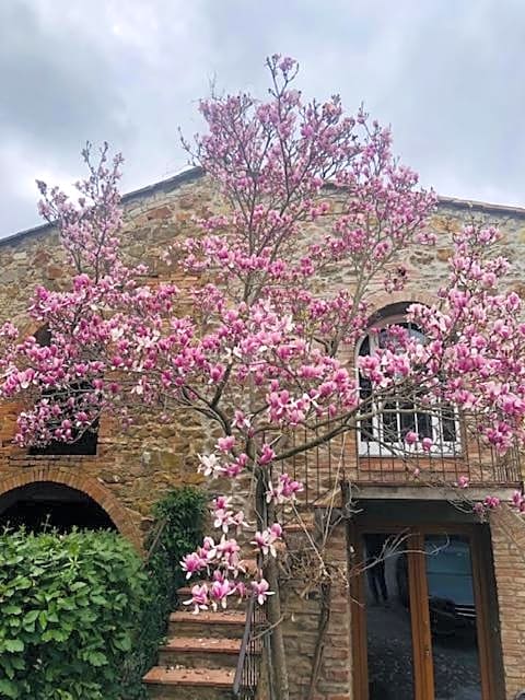 La Magnolia